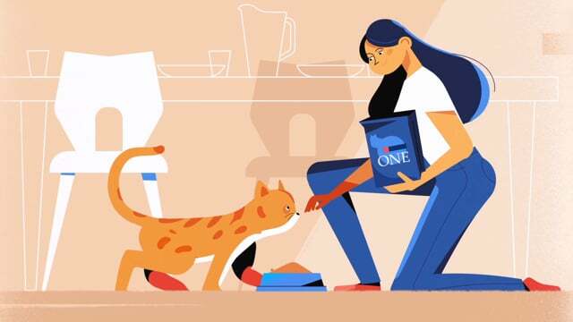 explainer amination video by Purina