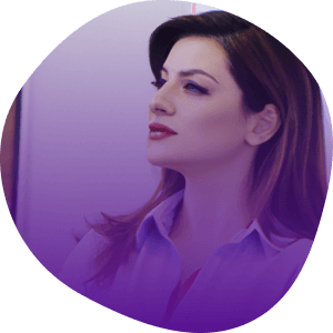 What is an executive summary