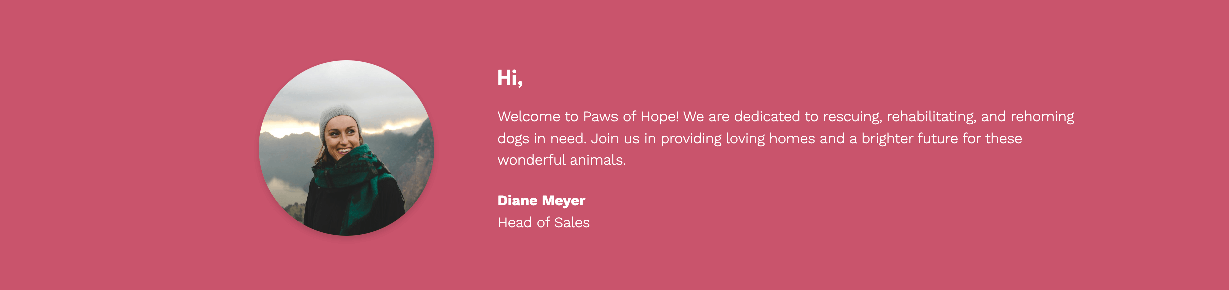 Fundraising proposal executive summary slide example