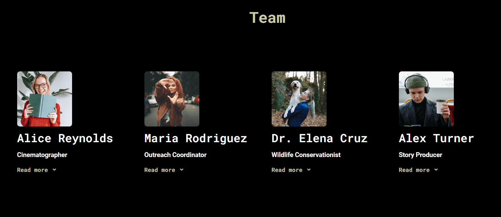 Team slide example