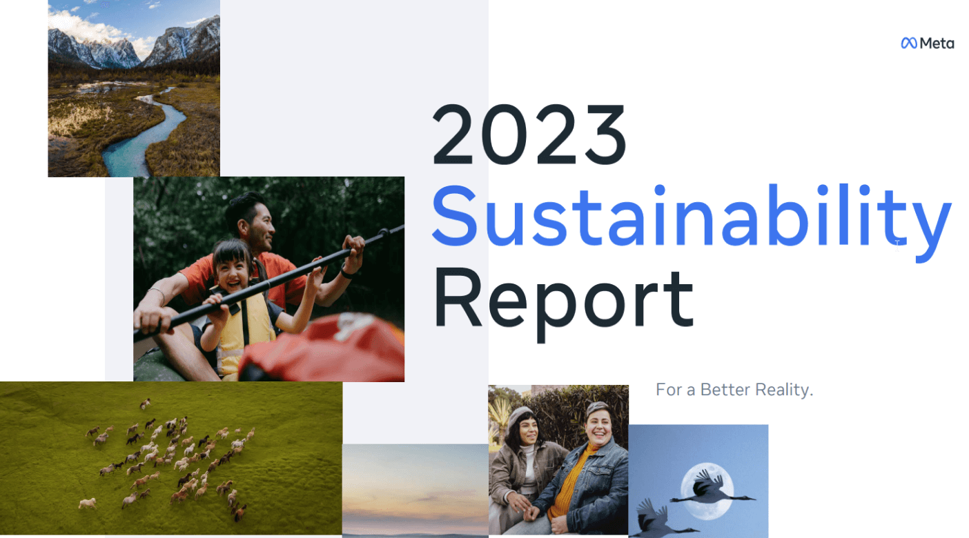 essay on sustainability reporting