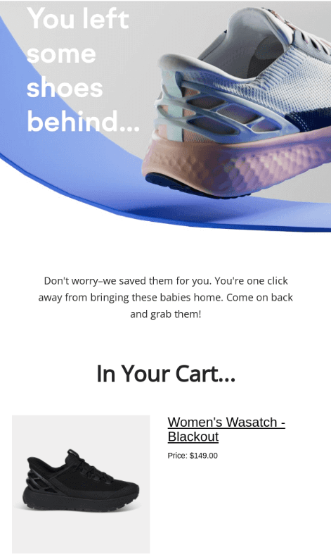 Abandoned cart email - Kizik