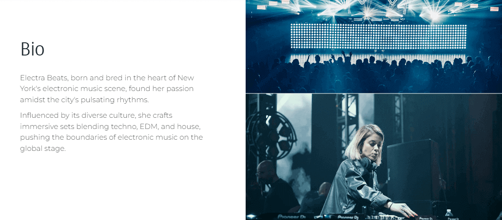 DJ EPK bio slide example